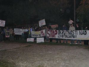 Prosvjed_u_Krizevcima.JPG