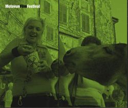 Motovunska_zabava.jpg