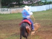 Bacanja_lasa02.jpg