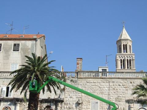 palma_01.JPG