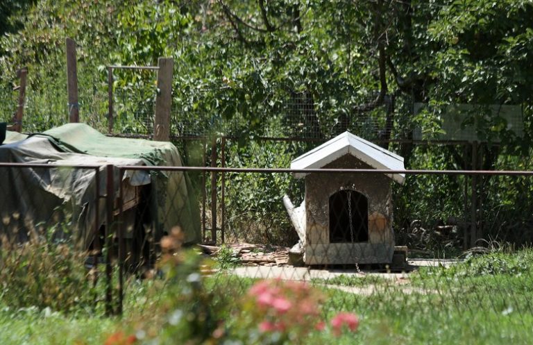 divljaštvo u Cepidlaku // Ženu zavezao lancima i zatvorio je u svinjac