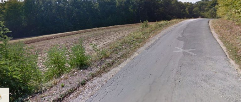 Male Velike Sesvete cesta