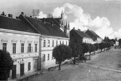 DRVORED UZ ISTOČNI RUB DANAŠNJEG PERIVOJNOG TRGA - Razglednica iz 1938. god., Fototeka Državne uprave za zaštitu kulturna baštine, Izdavač: Josip Goldberger, Zagreb